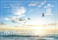Anshin Reiki Shoden Flyer mit Basisinfos. Strahlende Sonne über Meer mit fliegenden Vögeln und ein paar Wolken